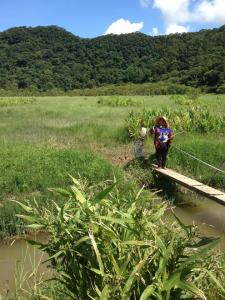 1098019_10200392983972711_551401632_n