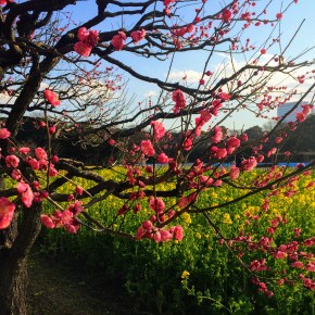 Japan Pt. 1 –&nbsp;Tokyo