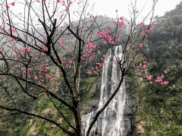 17124743_1360755663944546_2013022805_n