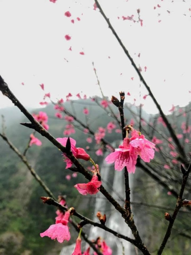 17160186_1360755373944575_2065908118_n