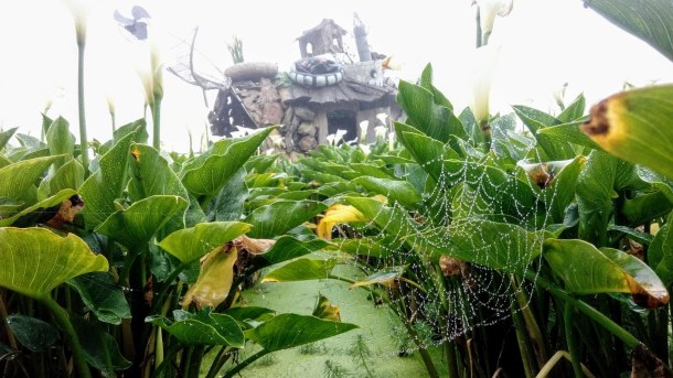 18339640_1310085782380546_1807155319_o