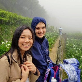 Lilies and fireflies