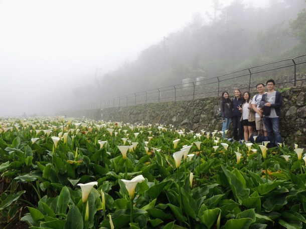 33785996693_d1a89a794e_k