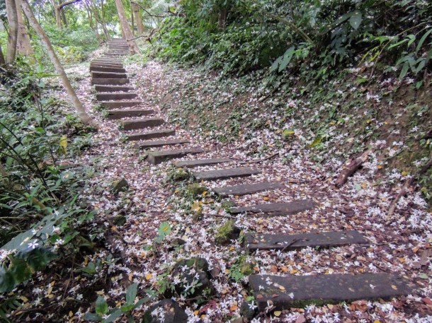 34433982762_d8eb525099_k