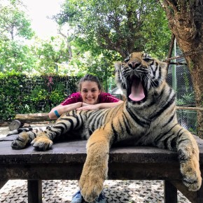 Thailand Pt. 3 — Tigers &&nbsp;Temples
