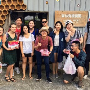 Strawberry fields & other&nbsp;happenings