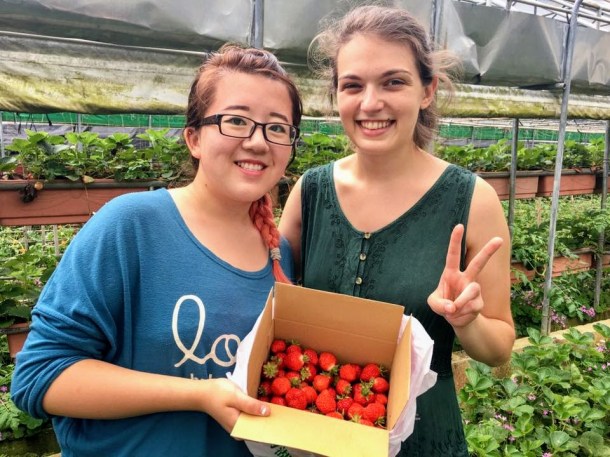 18557454_859730511629_6925614676901734705_n