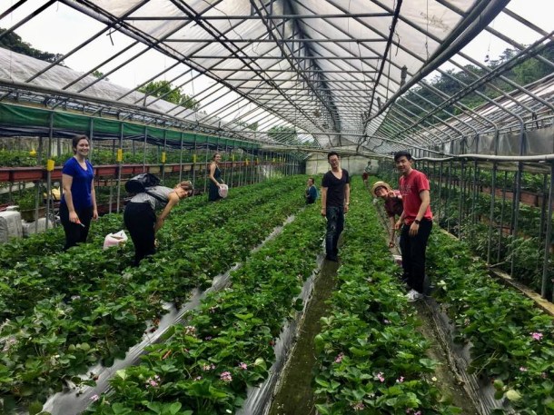 18581824_859730426799_8465819196331448862_n