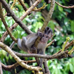 Malaysia Pt. 2 —&nbsp;Penang